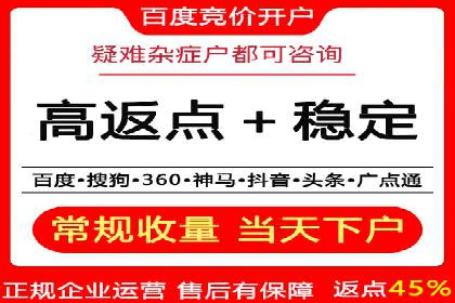 SEM优化技巧：实战案例深度剖析